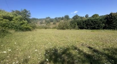 Land of 10,678 m² in Banne (07460)