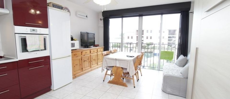 Appartement 1 pièce de 29 m² à Saint-Cyprien (66750)