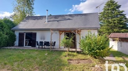 Pavillon 3 pièces de 50 m² à Courtenay (45320)