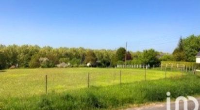 Terrain de 732 m² à Amboise (37400)