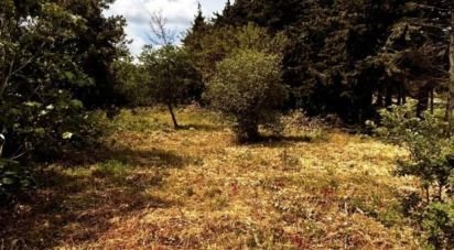 Land of 587 m² in La Cassaigne (11270)