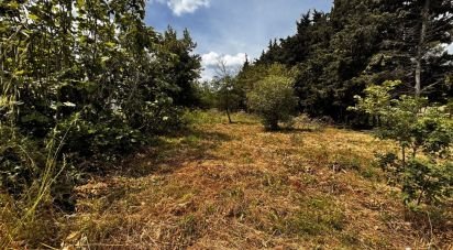 Land of 435 m² in La Cassaigne (11270)