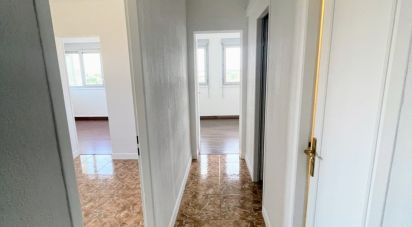 Appartement 3 pièces de 55 m² à Toulouse (31200)