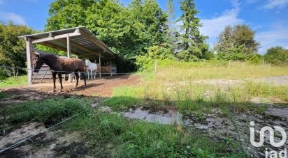 Maison traditionnelle 11 pièces de 350 m² à Saint-Palais (64120)