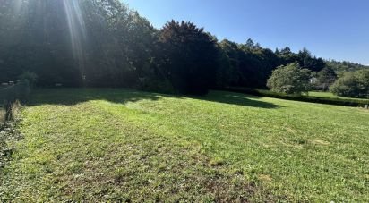 Land of 2,500 m² in Ferrette (68480)