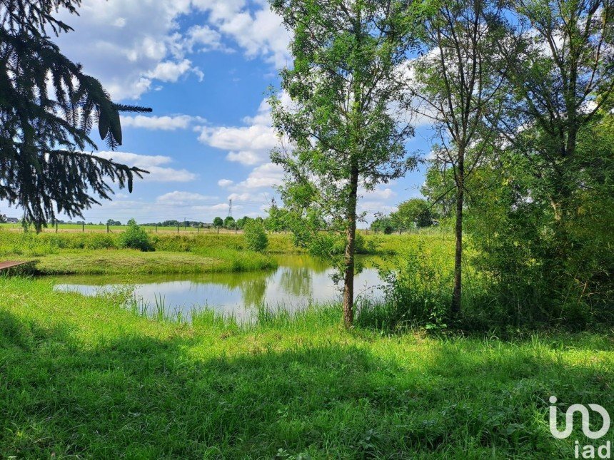 Terrain de 13 500 m² à Pernay (37230)