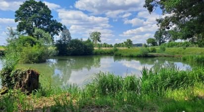 Terrain de 13 500 m² à Pernay (37230)