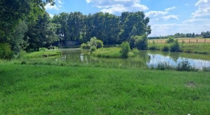 Land of 13,500 m² in Pernay (37230)