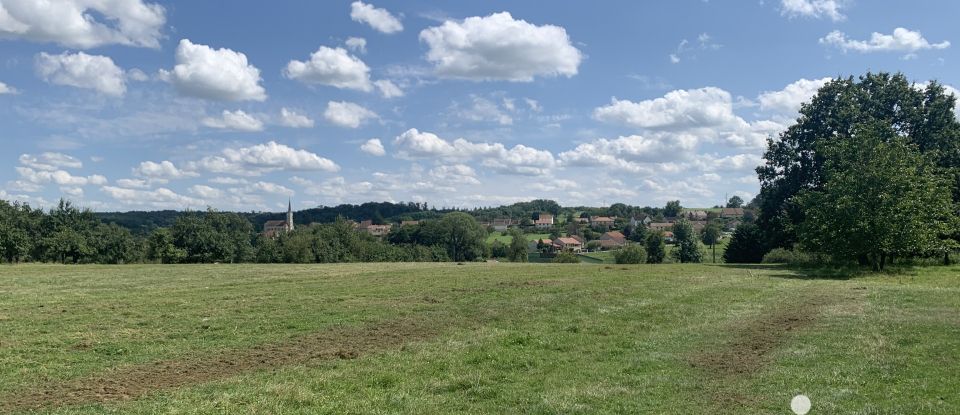 Land of 12,760 m² in Chaudenay (52600)