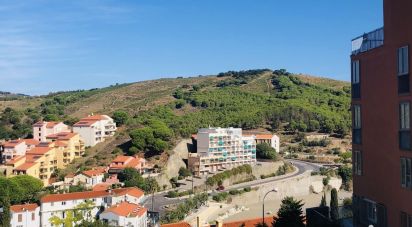 Apartment 2 rooms of 36 m² in Banyuls-sur-Mer (66650)