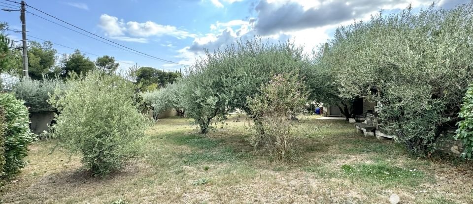 Terrain de 520 m² à Beaucaire (30300)