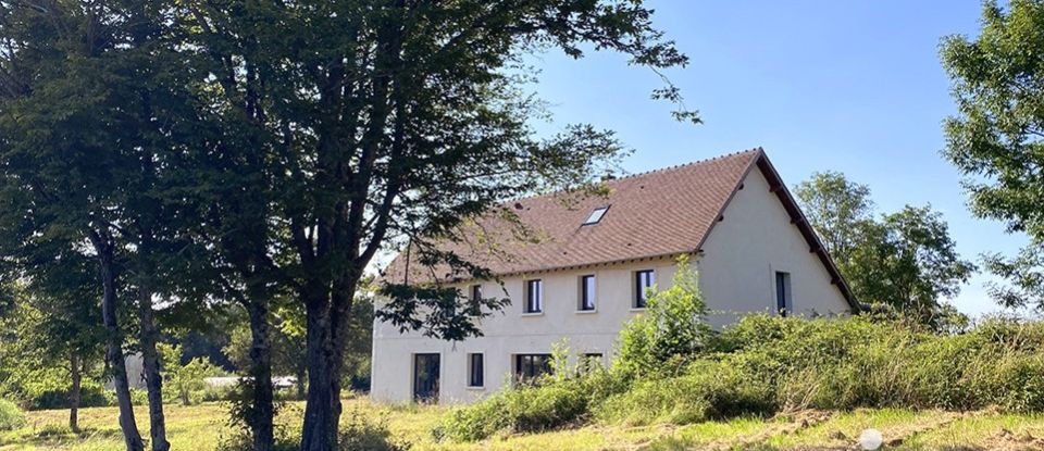 Maison traditionnelle 7 pièces de 300 m² à Sainte-Colombe-sur-Loing (89520)