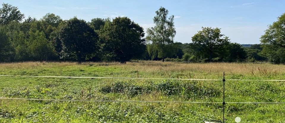 Maison traditionnelle 7 pièces de 300 m² à Sainte-Colombe-sur-Loing (89520)