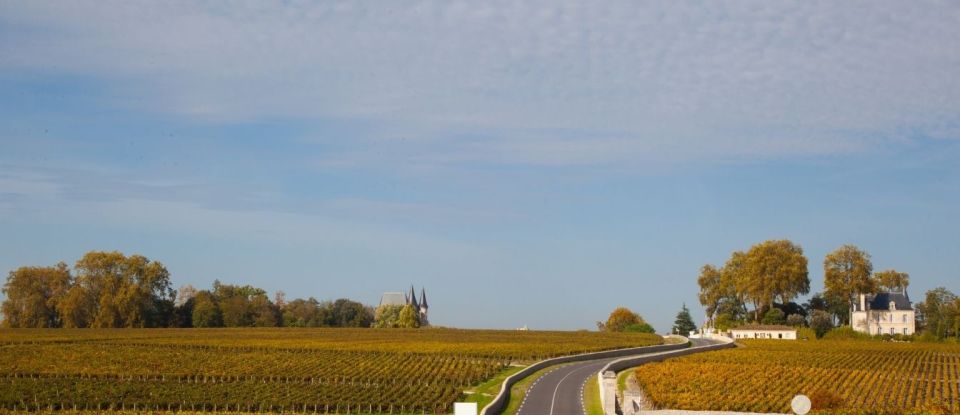 Maison traditionnelle 6 pièces de 185 m² à Moulis-en-Médoc (33480)