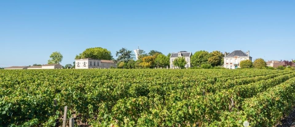 Maison traditionnelle 6 pièces de 185 m² à Moulis-en-Médoc (33480)