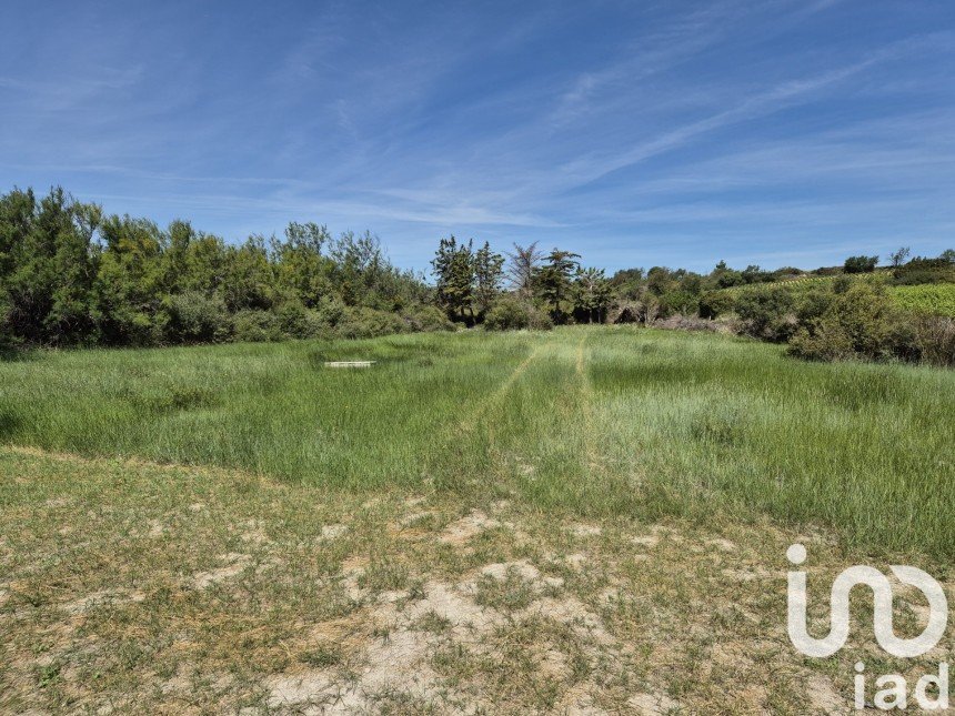 Terrain Loisirs de 3 200 m² à Sigean (11130)