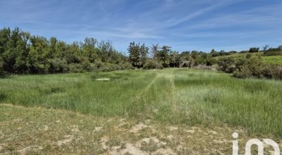 Terrain Loisirs de 3 200 m² à Sigean (11130)