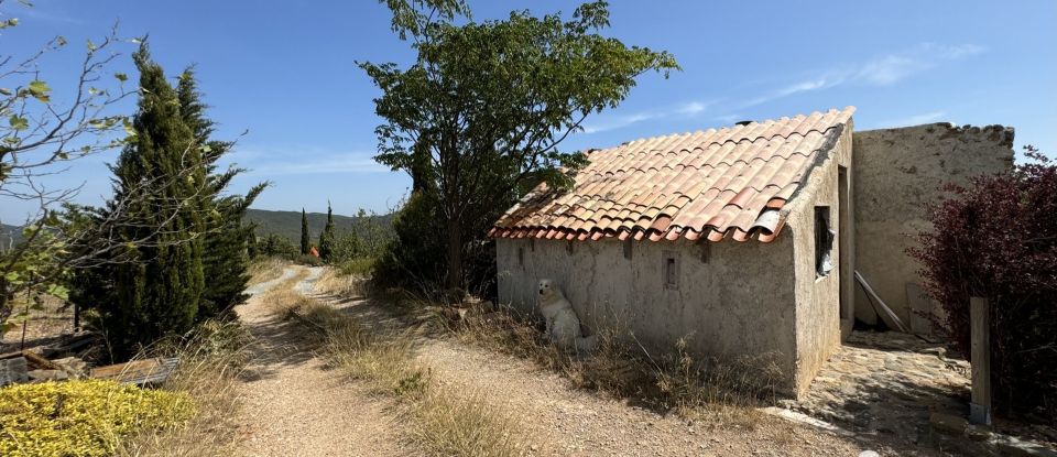 Maison de campagne 1 pièce de 53 m² à Tuchan (11350)