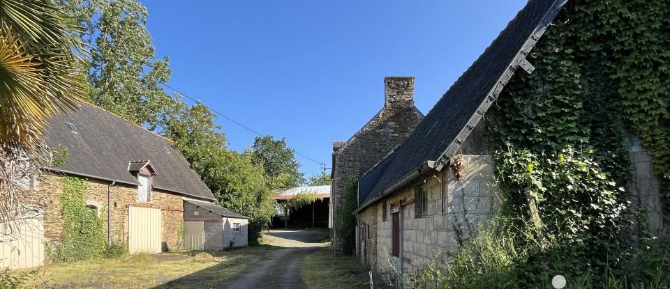 Traditional house 5 rooms of 300 m² in - (35460)