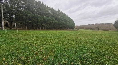 Terrain de 950 m² à Saint-Martin-du-Bois (33910)