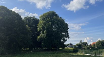 Terrain de 737 m² à Croix-Caluyau (59222)