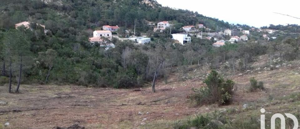 Terrain de 6 000 m² à Sari-Solenzara (20145)