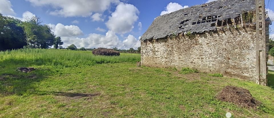 Terrain agricole de 170 m² à Fercé (44660)