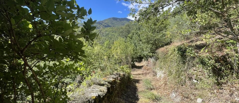 Maison 4 pièces de 128 m² à La Bastide (66110)