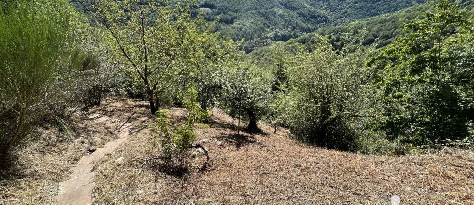 Maison 4 pièces de 128 m² à La Bastide (66110)