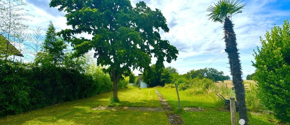 House 9 rooms of 175 m² in Cosne-Cours-sur-Loire (58200)