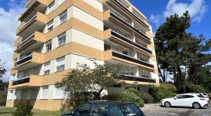 Appartement 1 pièce de 38 m² à Pessac (33600)