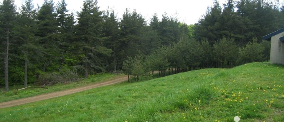 Bâtiment de 3 006 m² à Clavières (15320)