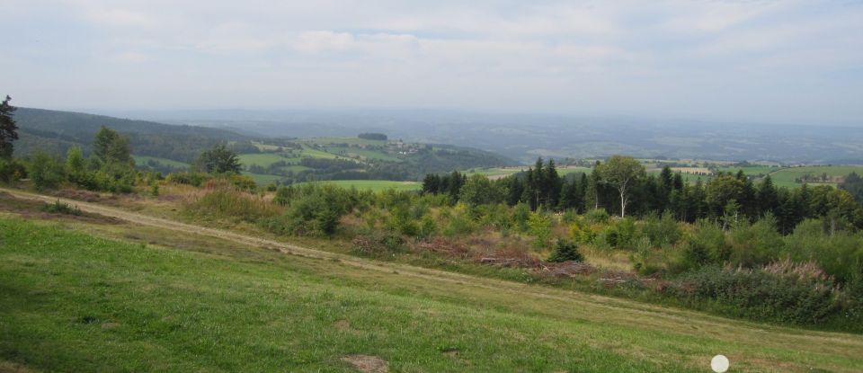 Bâtiment de 3 006 m² à Clavières (15320)