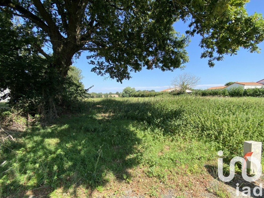 Land of 1,245 m² in Les Herbiers (85500)