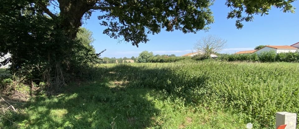 Land of 1,245 m² in Vendrennes (85250)