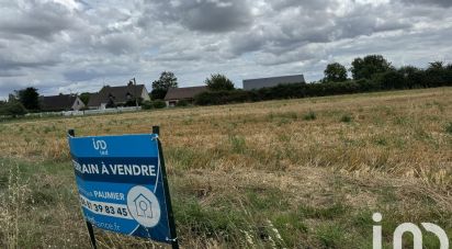 Terrain de 9 461 m² à Richelieu (37120)