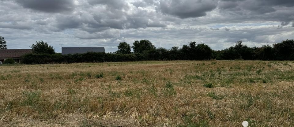 Terrain de 9 461 m² à Richelieu (37120)