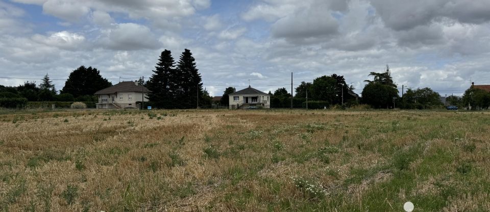 Terrain de 9 461 m² à Richelieu (37120)