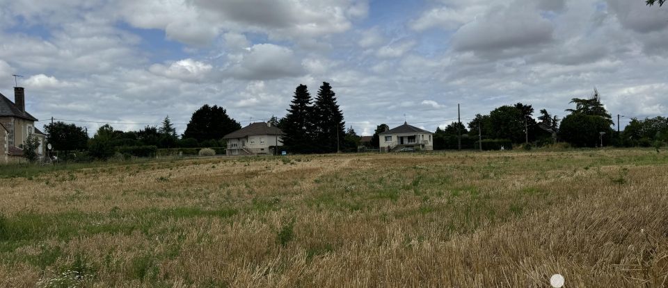 Terrain de 9 461 m² à Richelieu (37120)