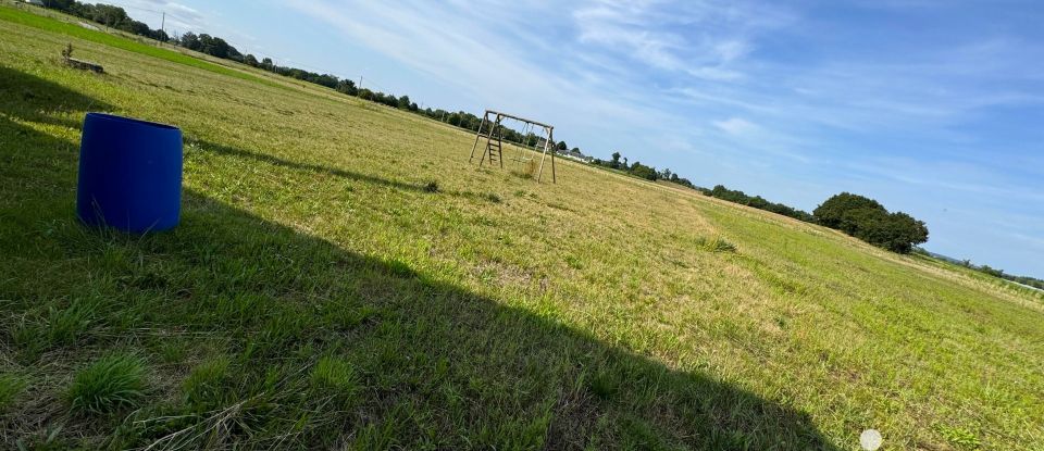 Longère 11 pièces de 188 m² à Chouzé-sur-Loire (37140)