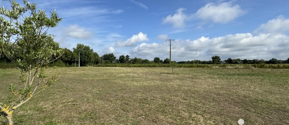 Longere 9 rooms of 160 m² in Chouzé-sur-Loire (37140)