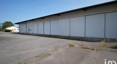 Murs commerciaux de 3 377 m² à Châtillon-sur-Loire (45360)