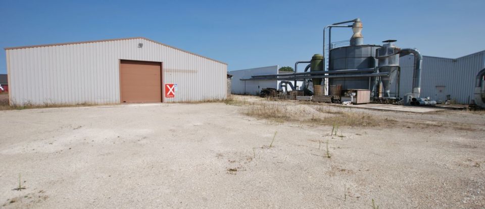 Murs commerciaux de 3 377 m² à Châtillon-sur-Loire (45360)