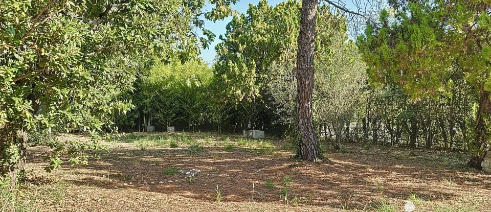 Terrain de 825 m² à Buzignargues (34160)