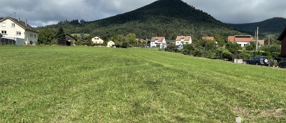 Terrain de 497 m² à Lièpvre (68660)