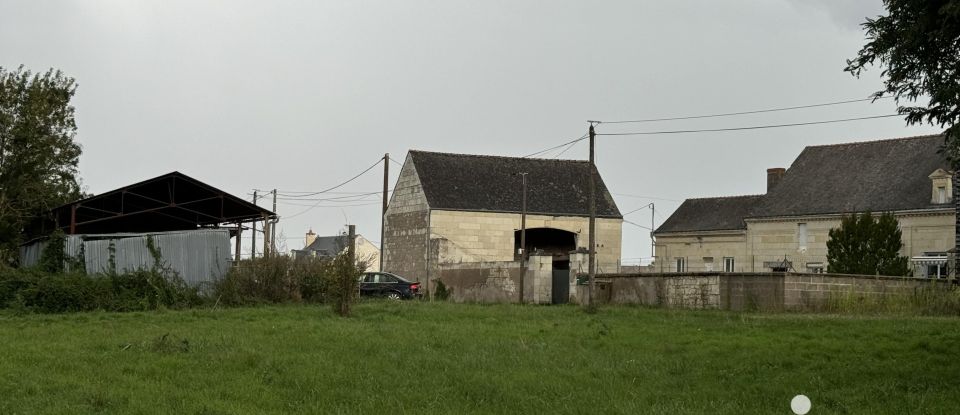 Longère 11 pièces de 188 m² à Chouzé-sur-Loire (37140)