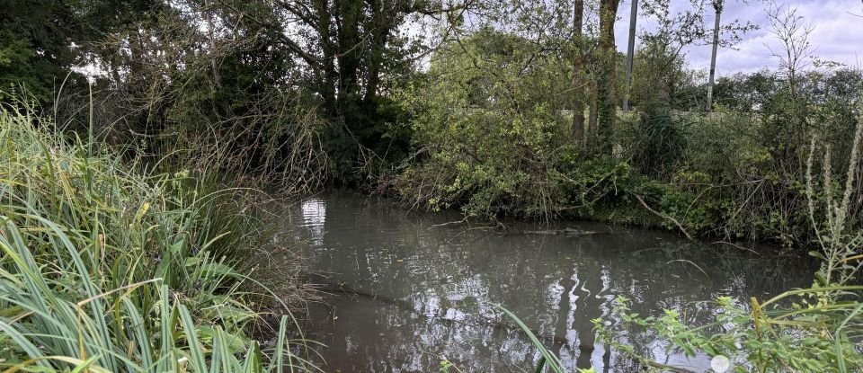 Longère 11 pièces de 188 m² à Chouzé-sur-Loire (37140)