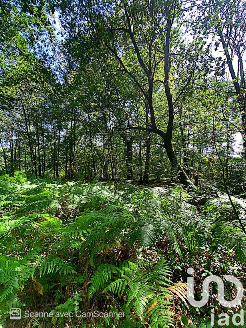 Terrain de 20 000 m² à Ménesplet (24700)