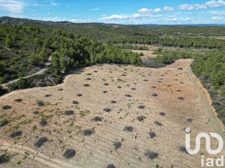 Agricultural land of 20,400 m² in Roquefort-des-Corbières (11540)