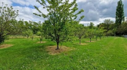 Maison 8 pièces de 175 m² à Poilly-lez-Gien (45500)